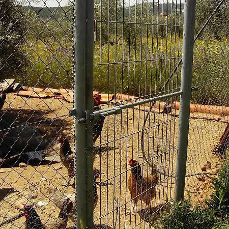 Rural La Cimbarra Aldeaquemada