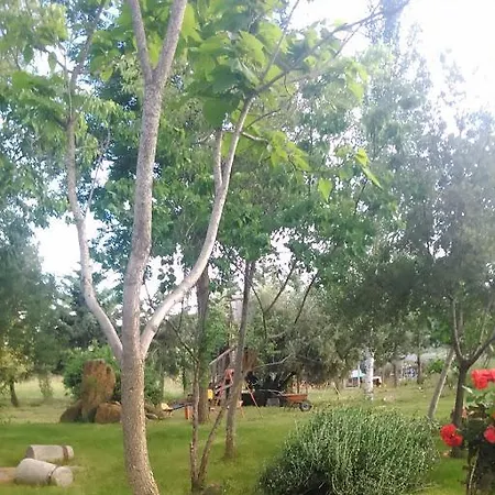 Rural La Cimbarra Aldeaquemada